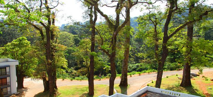 valley View