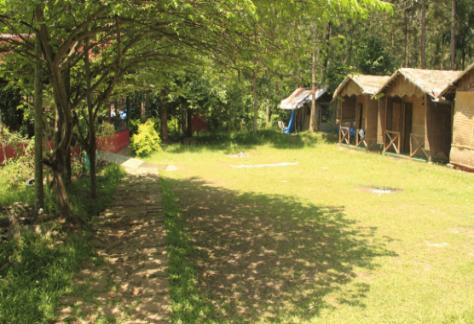 Bamboo Huts