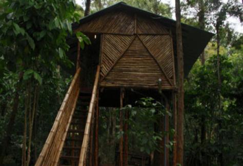 Tree House Exterior
