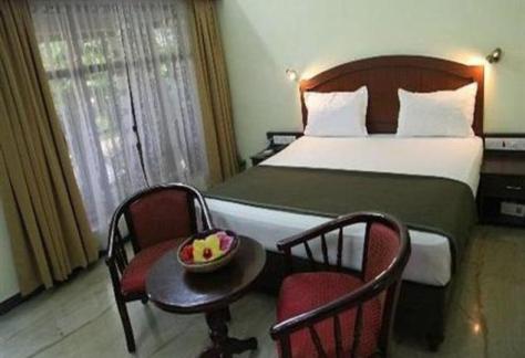 Garden View Room